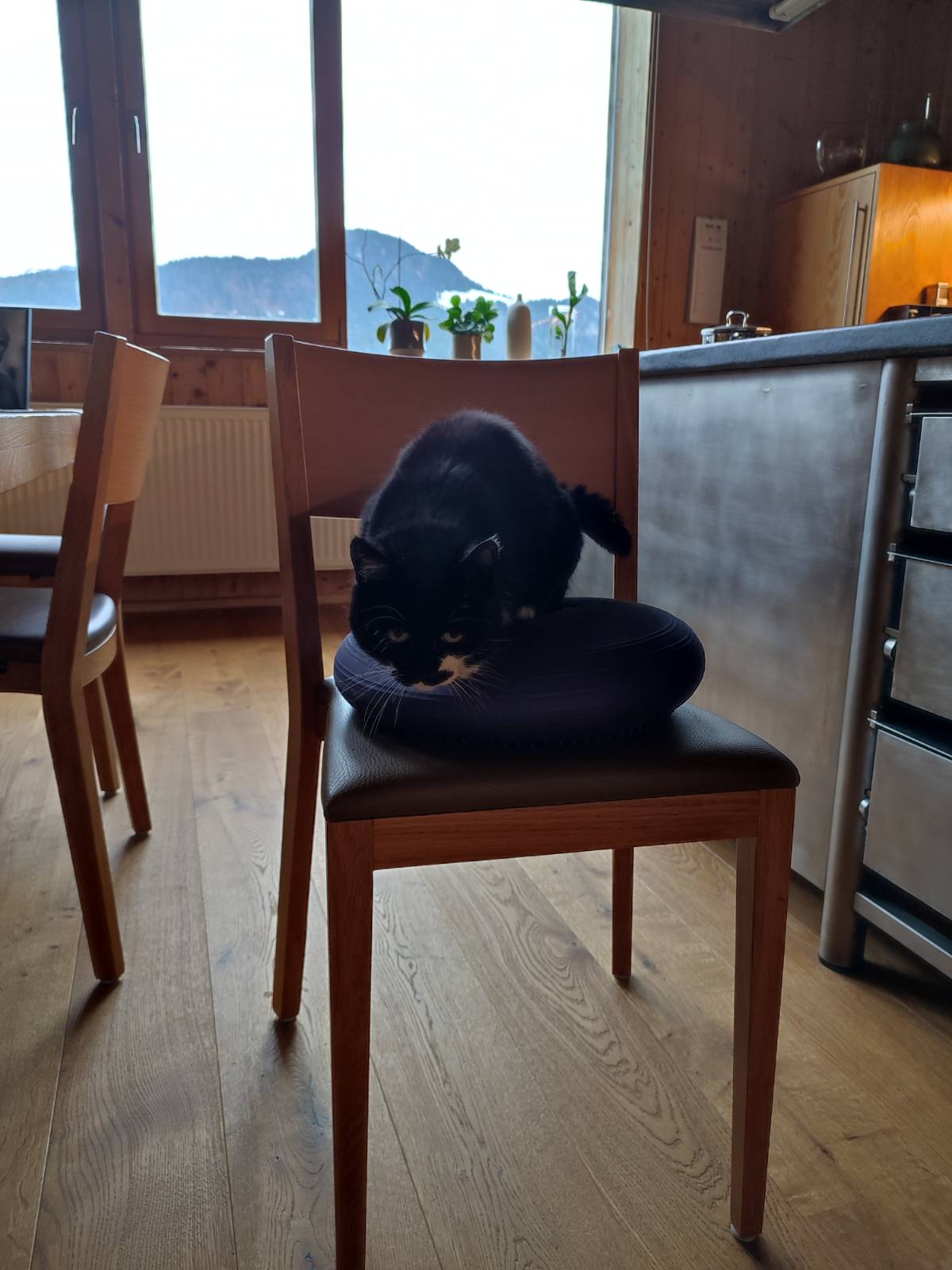 Bildergalerie - aks Neurologische Reha